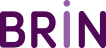 Brin Logo