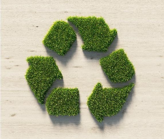 It is easy being green – Scott Partners commit to sustainable practices.